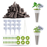 Ambgrow vista frontal del paquete con componentes y beneficios organizativos