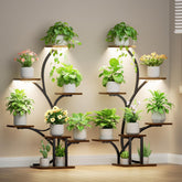 BACEKOLL estantería frontal iluminada mostrando plantas y orden