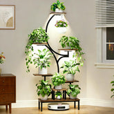BACEKOLL vista frontal de estantería con luz y plantas, aporta orden y estilo