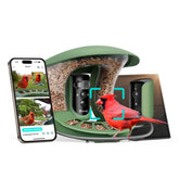 Birdfy comedero frontal mostrando diseño y acceso para aves