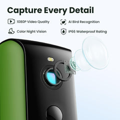 Birdfy cámara 1080P en primer plano para capturar detalles nítidos