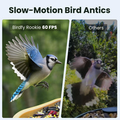 Birdfy detalle de lente lateral que ofrece ángulo cercano y más detalles