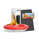 Birdfy comedero frontal mostrando el diseño y capacidad 14oz, atrae colibríes fácilmente