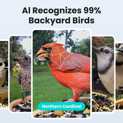 Birdfy instalado en jardín con aves, permite disfrutar observación diaria