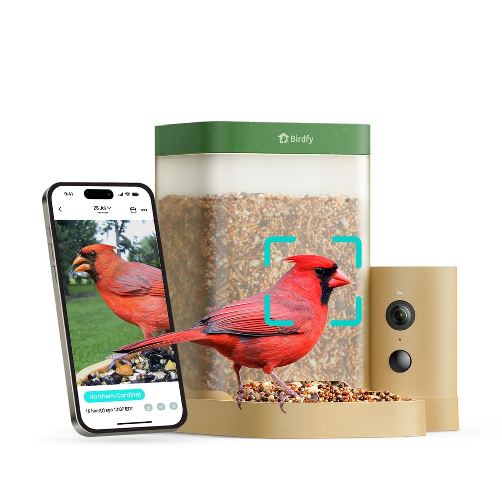 Birdfy comedero frontal mostrando cámara y alimentación, captura visitas claras