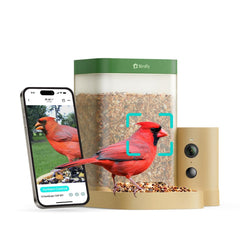 Birdfy comedero frontal mostrando cámara y alimentación, captura visitas claras