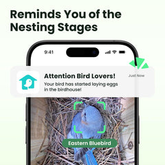 Birdfy textura de madera y revestimiento metálico para mayor durabilidad