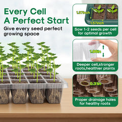 BlumWay celdas profundas con sustrato listos para germinar y fortalecer raíces