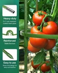 Breeze Touch jaula instalada en maceta sosteniendo tomates jóvenes