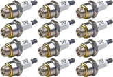 Briggs & Stratton empaque frontal del pack de 12 que muestra referencia y beneficios OEM