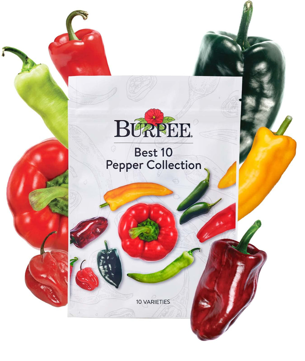 Burpee vista frontal del paquete Best 10 con variedad de pimientos y guía clara
