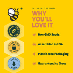 BUZZY semillas Non-GMO en mano mostrando calidad y facilidad de siembra