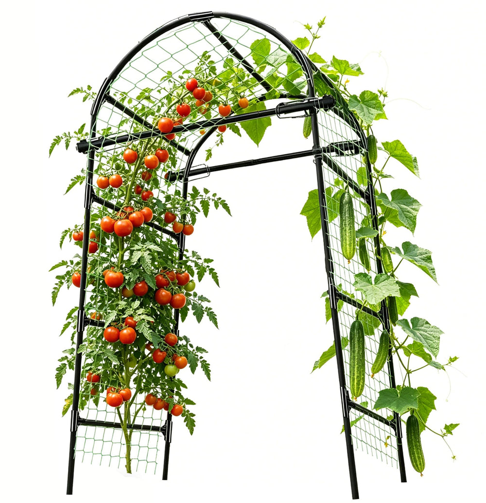 CACERIAWM arco enrejado frontal mostrando forma y altura para cultivo vertical