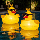 CetusLink pato flotante frontal mostrando diseño de gafas y colores brillante