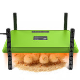 Chtoocy placa frontal del calefactor mostrando diseño compacto y seguridad