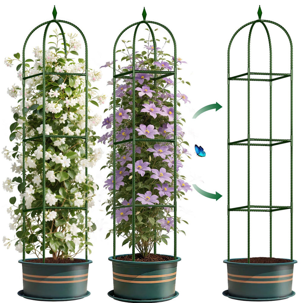 CL FUN enrejado frontal montado, soporte estable para plantas