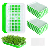 EBaokuup vista frontal de la bandeja germinadora, compacta y fácil de almacenar