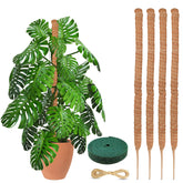 EcoNour poste musgo frontal mostrando soporte natural y compacto