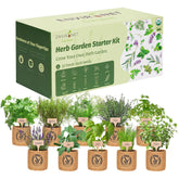 Environet kit huerto interior frontal mostrando macetas y semillas, fácil inicio