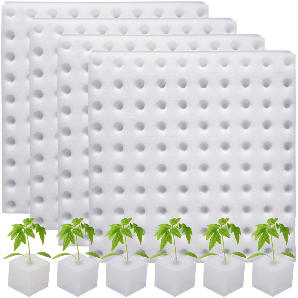 Eshylala empaque frontal mostrando 400 esponjas, solución limpia para germinar