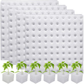 Eshylala empaque frontal mostrando 400 esponjas, solución limpia para germinar
