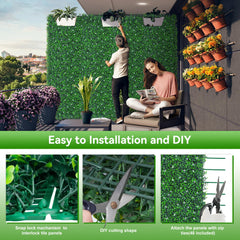 EverNature comparación de escala junto a persona para ver tamaño real