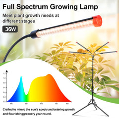 FRGROW primer plano del cabezal mostrando acabado y disipación térmica eficiente