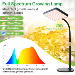 FRGROW en uso con bonsái, iluminación óptima que mejora el desarrollo