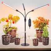 FRGROW vista frontal de la lámpara 3Head con iluminación uniforme y control fácil