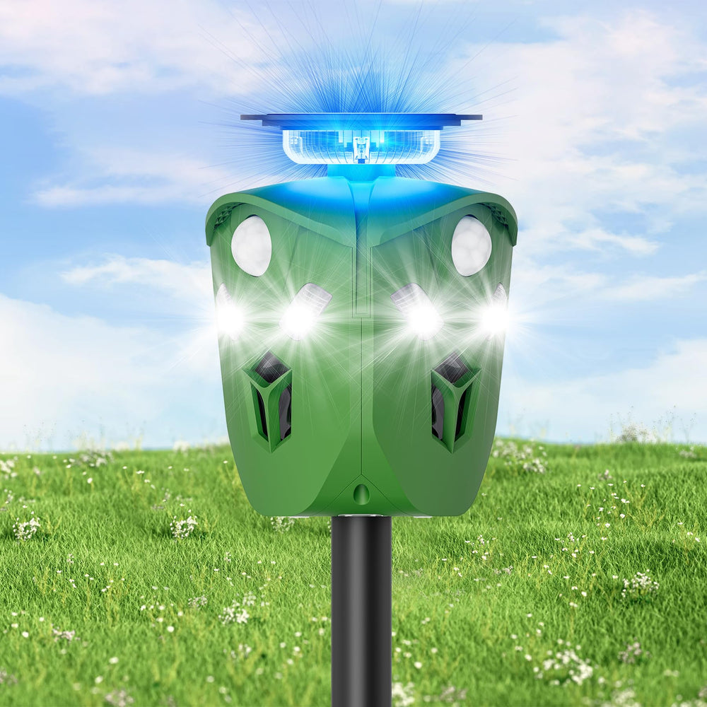 G-Jyuncyou frontal con panel solar mostrando carga constante