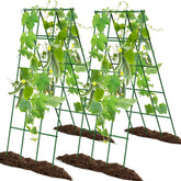 Generic enrejado A-Frame frontal mostrando estructura estable y listo para plantar
