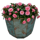 GROWSCAPE Shaina vista frontal con acabado patina copper y aspecto elegante