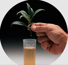 Hydrofarm Dip 'N Grow líquido mostrando textura y beneficio de mezcla fácil