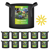 iPower frontal del paquete con 10 bolsas, solución compacta y reutilizable