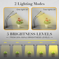 iPower luz aplicada sobre suculentas, mejora visual para cultivo interior