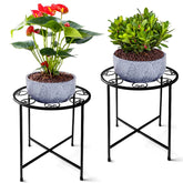 KABB soporte frontal mostrando forma y estabilidad ideal para exhibir plantas