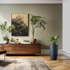 Kante macetero junto a una silla para comparar tamaño y proporción