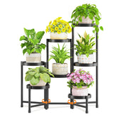 LASZOLA vista frontal del soporte de plantas siete niveles, exhibición ordenada