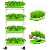 LeJoy Garden bandeja frontal empaquetada mostrando uso compacto