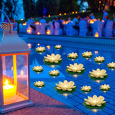 Liliful vista frontal de flor loto blanca flotante mostrando diseño elegante y luz cálida
