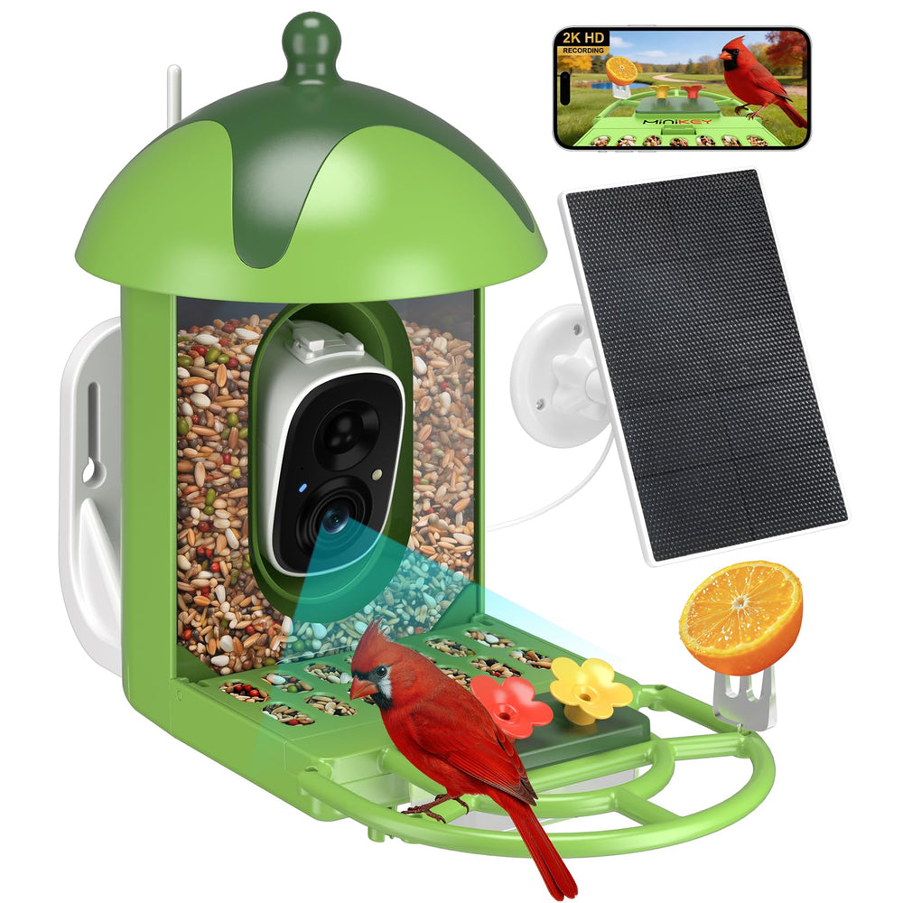 Minikey vista frontal del comedero con cámara, atractiva para observación segura