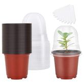 MIXC maceta de vivero frontal roja mostrando forma y tapa beneficiosa para cultivo