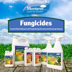 Monterey Liqui-Cop rociando árboles frutales para reducir riesgo de hongos