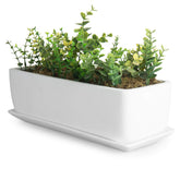 MyGift maceta cerámica frontal blanca mostrando diseño minimalista y versatilidad