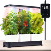 Oliz vista frontal del jardín interior mostrando luz y macetero, aporta cultivo fácil