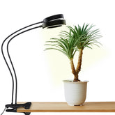 OSANI vista frontal de la lámpara de 24" con abrazadera y diseño compacto