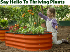 Plant & Plot cama montada con verduras facilitando accesibilidad al cultivo