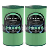 PoolPure cartucho frontal y empaque mostrando compatibilidades y tamaño