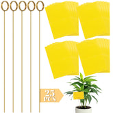 Qualirey frontal del kit con embalaje y 25 tarjetas para control de insectos