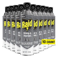 Raid lata frontal pack de 10 mostrando diseño y información clara